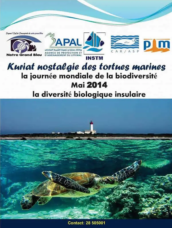 Kuriat nostalgie des tortues marines