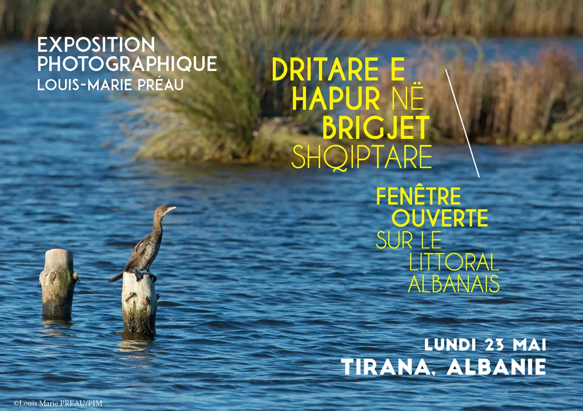 FESTIVAL DU FILM ENVIRONNEMENT DE TIRANA 