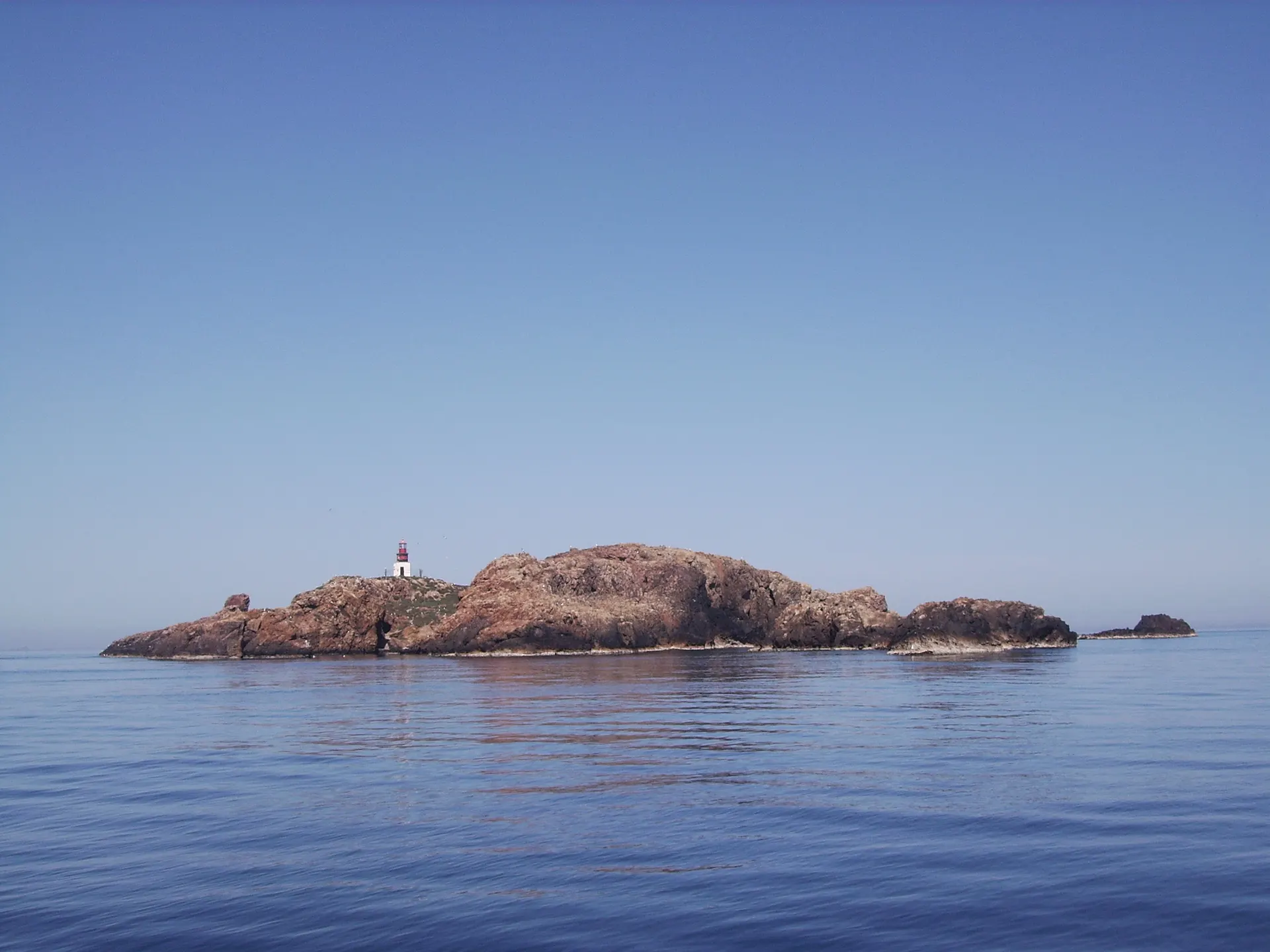Nettoyage de l'île Plane 81