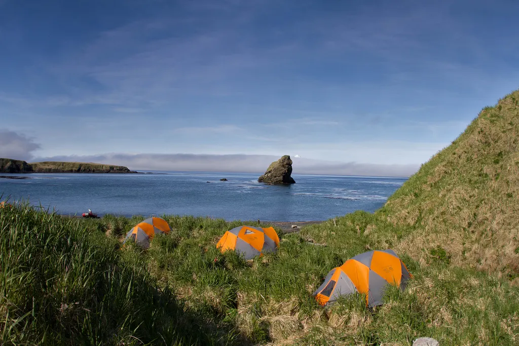 Une île aux oiseaux en Alaska 159