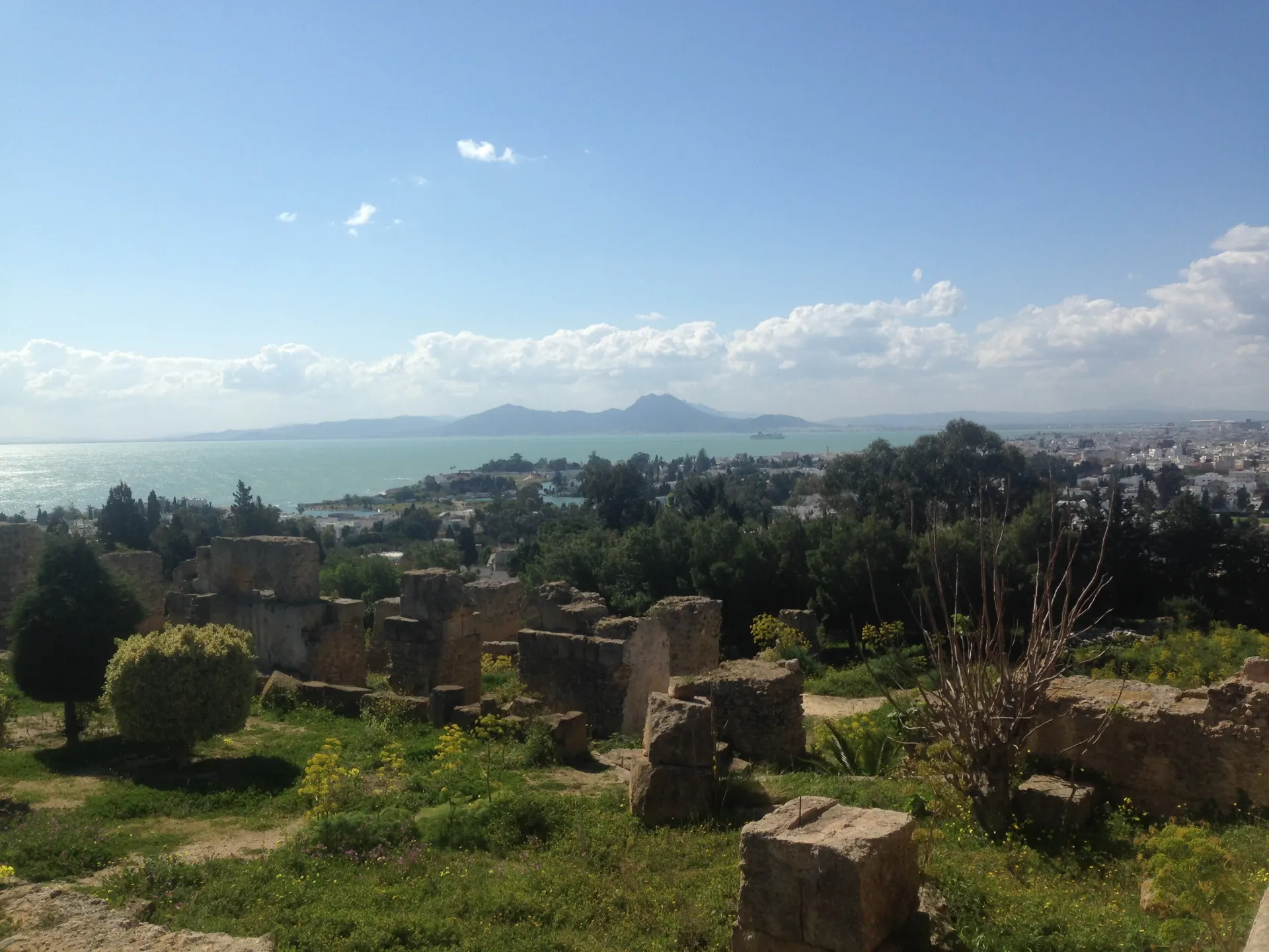 Exposition Celebrate Islands à Carthage