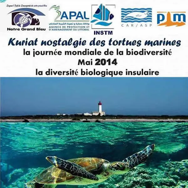Kuriat nostalgie des tortues marines