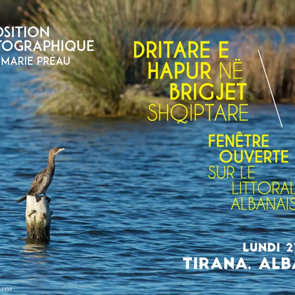 FESTIVAL DU FILM ENVIRONNEMENT DE TIRANA 