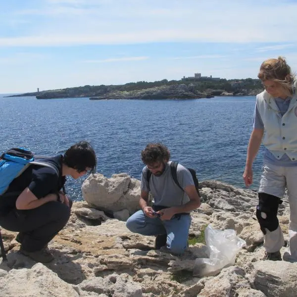 Complete inventory of islets - Elbe and Pianosa