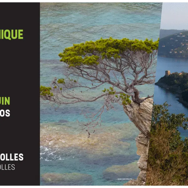 Exposition photographique 