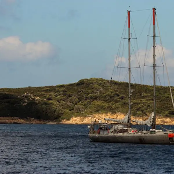 Journée d'animation sur l'île de Port-Cros 