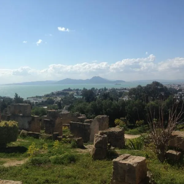 Exposition Celebrate Islands à Carthage