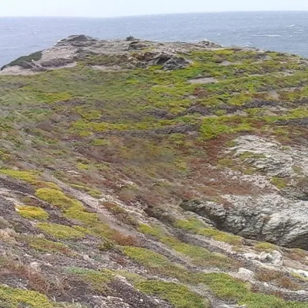 Présentation aux élus - île du Grand Rouveau