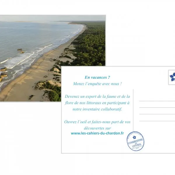 Enquête nationale portant sur le Chardon bleu des dunes 